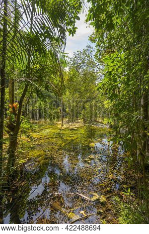 Khao Pra Bang Khram Wildlife Sanctuary Way To Emerald Pool Aka Sa Morakot Tourist Destination. Natio