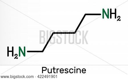 Putrescine Molecule. It Is Toxic Diamine, It Belongs To The Group Of Biogenic Amines. Skeletal Chemi