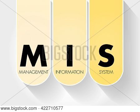Mis - Management Information System Acronym, Business Concept Background