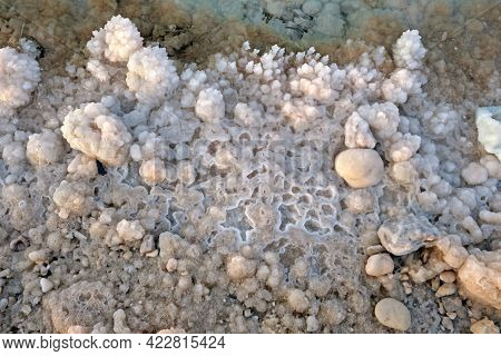 Salt Crystals On The Shore Of The Dead Sea