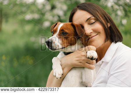 Woman Play Jack Russell Terrier Dog In Meadow. Woman Hugging Jack Russell Terrier Dog In Nature. Bea