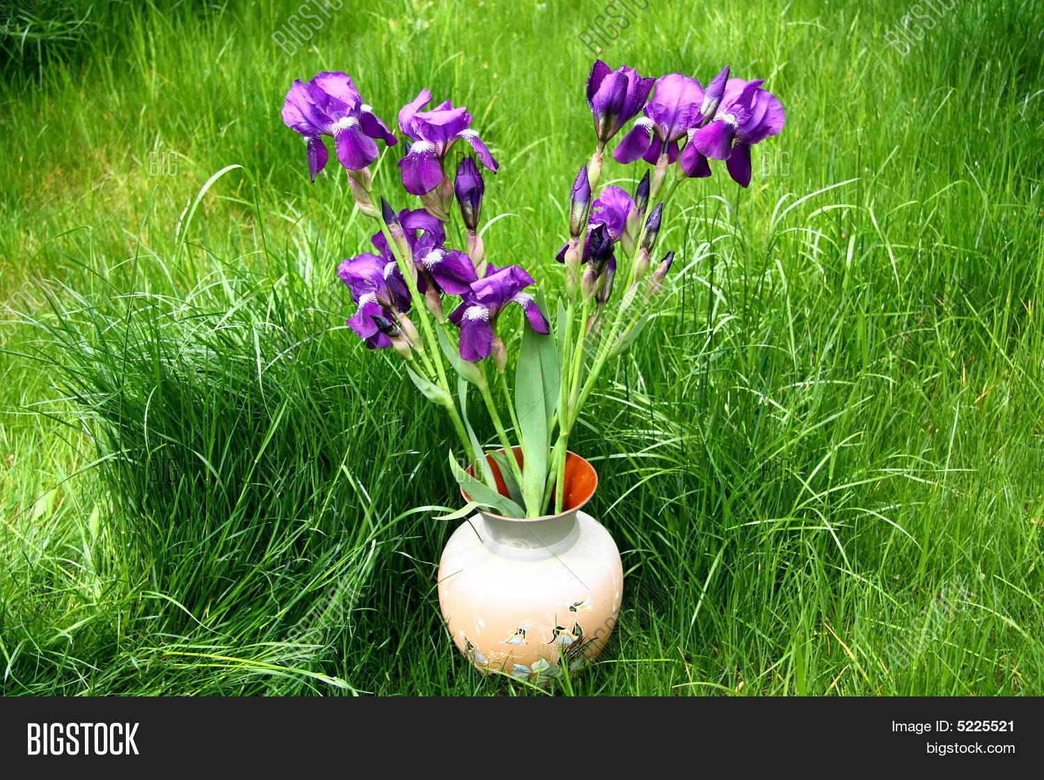Image Preview