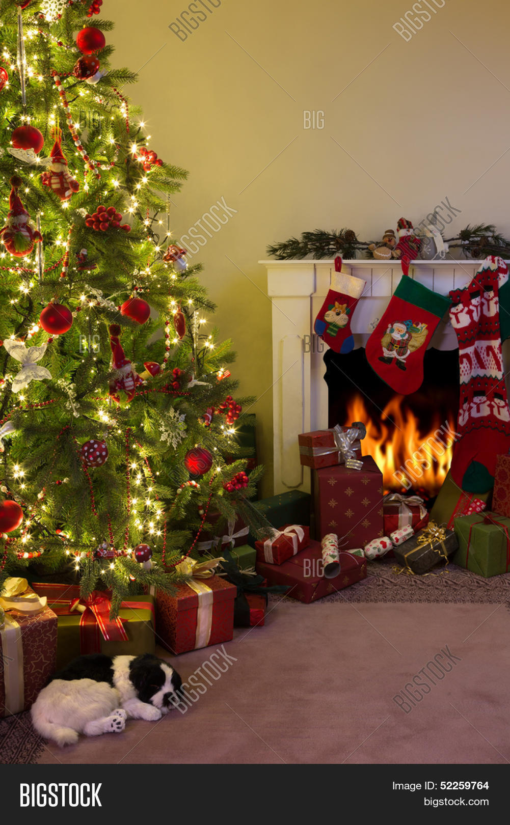 Burning Fireplace Dog Image & Photo (Free Trial) Bigstock