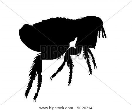 Den sorte silhuet af en loppe.