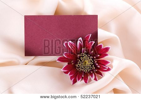 Chrysanthemum Form On Silk