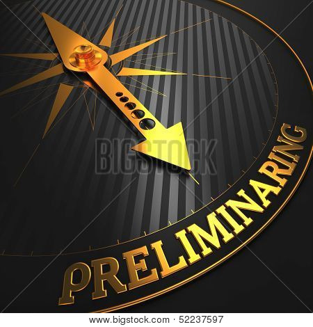 Preliminaring. Business Concept.