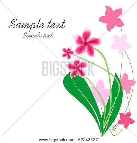 Flower Background