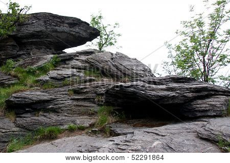 Rocks, grass and shrubs