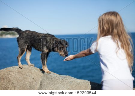 Little Girl And Dog