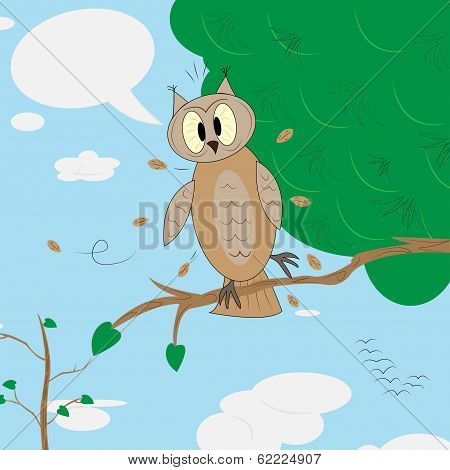 Surprised owl