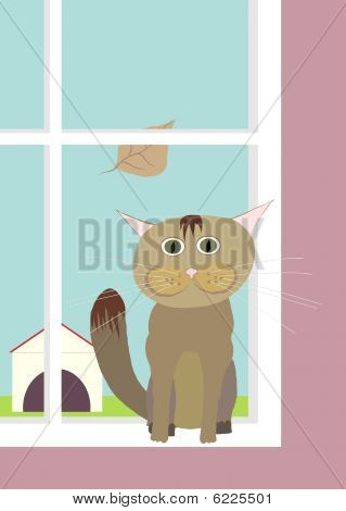 Chat et fenêtre