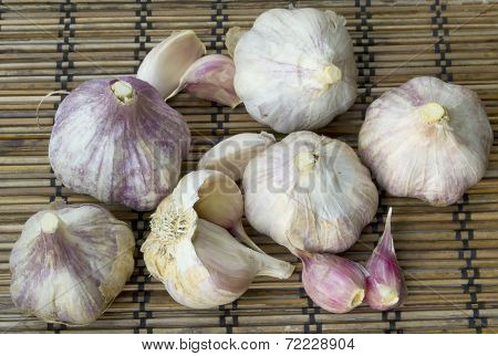 Garlic