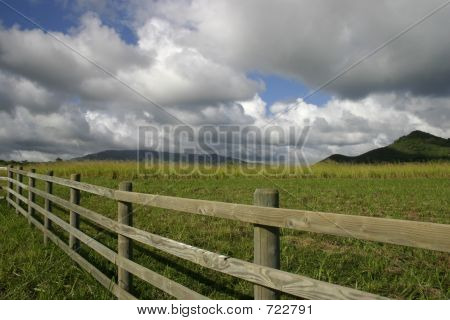 Granja en Kauai