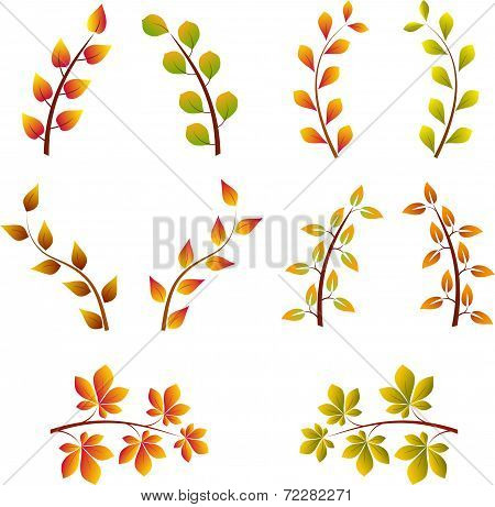 Autumn Tree Leaf Branches, Leaves Vector