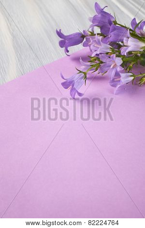 bounch of spring violets flowers