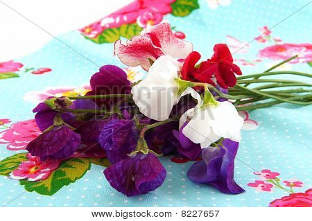 Lathyrus