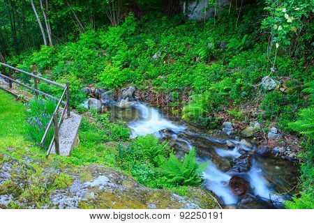 Torrent