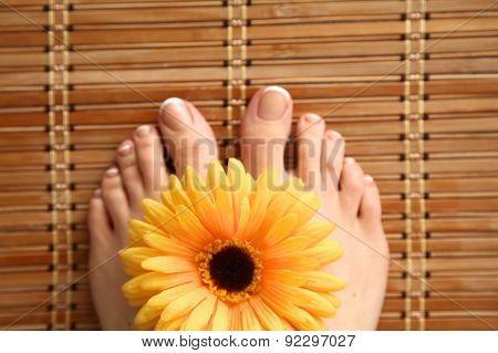 Care for beautiful woman legs with flower