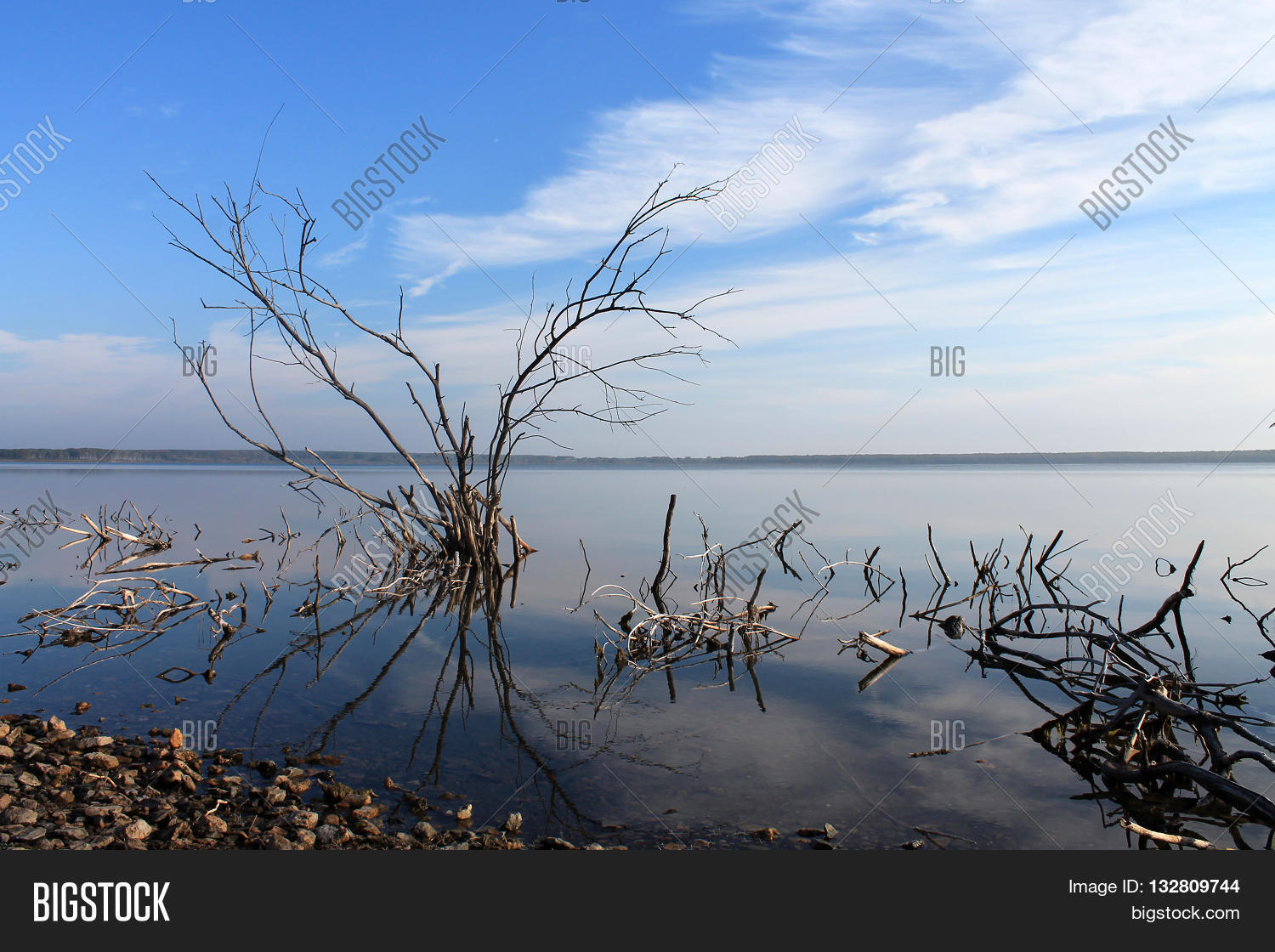 Swampy Shore Lake Image Photo (Free Trial) Bigstock
