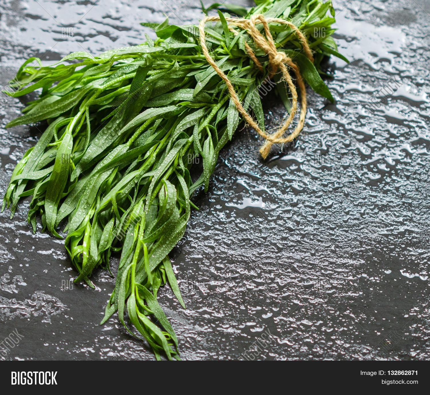 Tarragon. Estragon. Image & Photo (Free Trial) Bigstock