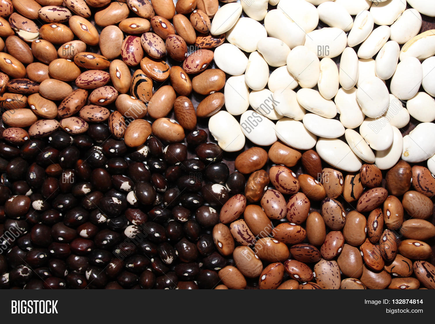 Kidney Bean Variety Image & Photo (Free Trial) Bigstock