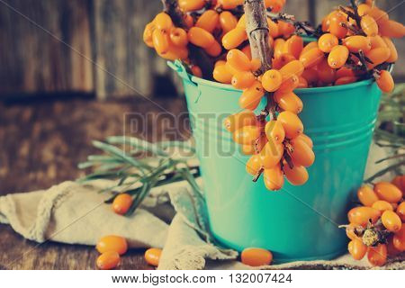 Organic ripe sea buckthorn in blue metal bucket on wooden background. Bio healthy fruits. Selective focus. Tinted image of a retro style