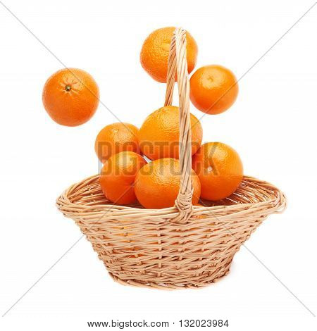 Wicker basket full of multiple ripe orange fresh juicy tangerines, composition isolated over the white background