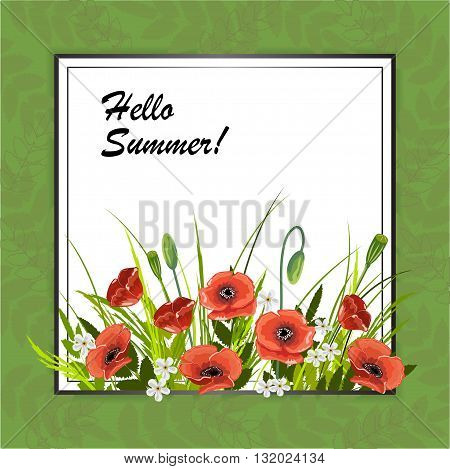 Floral vector background. Grass, poppies and daisies in frame. Hello summer lettering vector illustration.