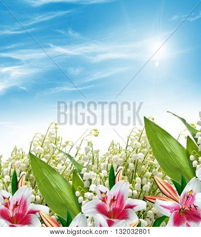 Beautiful flowers lily and lily of the valley
