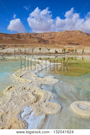 Israeli coast of the Dead Sea. The path from salt picturesquely curls in salty water. Palms are reflected in smooth water ashore