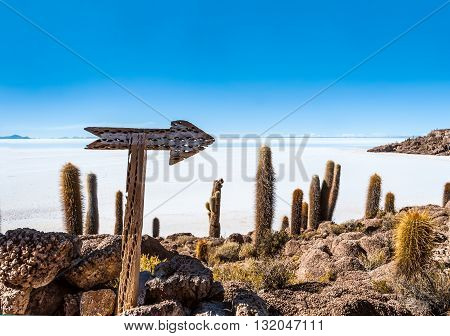 Isla De Pescadores, Salt Lake Uyuni In Bolivia