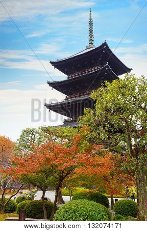 Toji Temple in Kyoto Japan in autumn