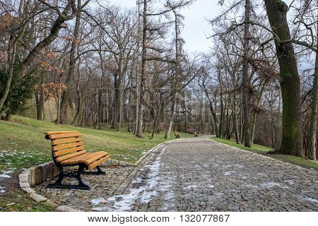 Benches in a deserted winter park in Prague
