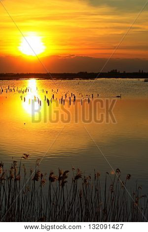 beautiful sunset over the lake with the sky yellow