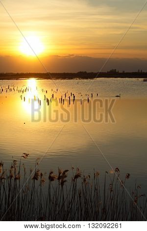 beautiful sunset over the lake with the sky yellow