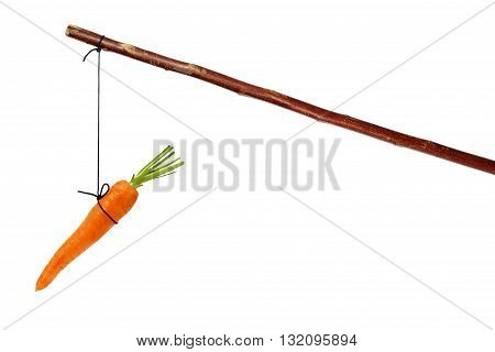Stick with carrot on string isolated on white