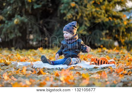 Cheerful baby sitting in the park in autumn. Kid playing on the grass in the fall. Children play in the park on the grass. Little boy sitting on the grass.