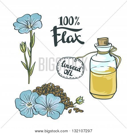 Flax Seeds Oil in a Glass Bottle with flowers. Vector Illustration