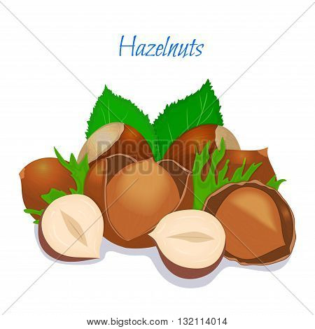 Vector illustration of a handful of filbert. Hazelnut in a shell, shelled half, crushed walnut leaves. Appetizing, delicious cobnut image element for design packing food products, healthy eating