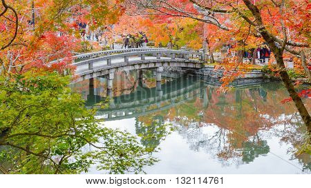 Autumn at Eikando Zenrinji Temple in Kyoto Japan
