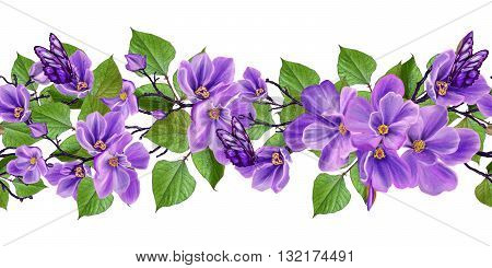Isolated. White background. Pattern seamless horizontal floral border. Flower garland of purple spring flowers. Large purple butterfly.