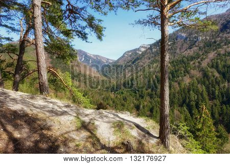 Forest landscape - Gaderska valley at Slovakia