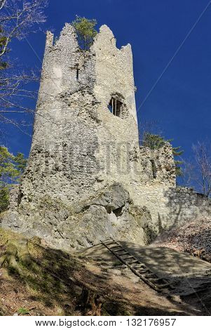 Ruins of Blacnicky castle and tower - Slovakia