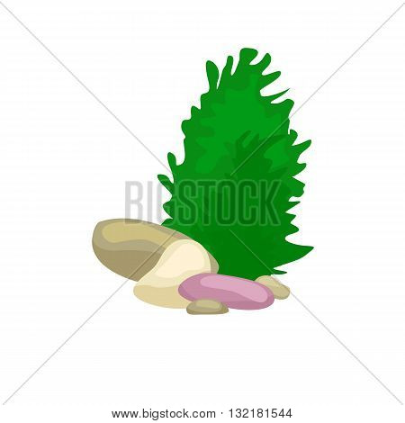 Seaweed, solated colorful corals and algae on a white background. Vector underwater flora and fauna.