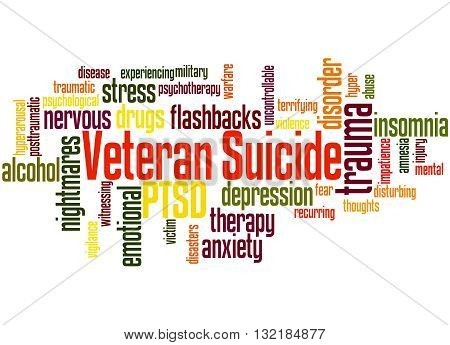 Veteran Suicide, Word Cloud Concept