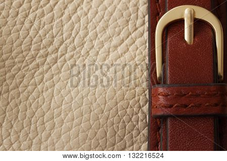 Detail of beige handbag and buckle with space for your text