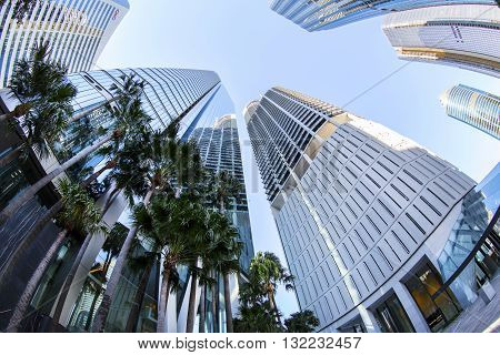 BRISBANE, AUSTRALIA - MAY 25 2016: Fisheye view looking up at Brisbane cityscape on Eagle Street