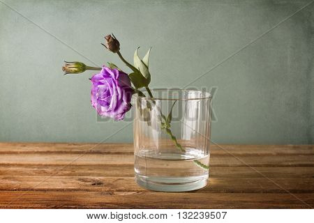 Eustoma purple flower in glass of water