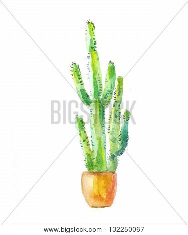 Cactus drawing. Sketch of cactus in a pot. Watercolor cactus drawing. Cactus potted.