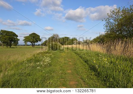 English Towpath In May
